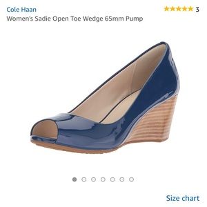 Cole Haan Sadie Blue Peep Toe Wedges